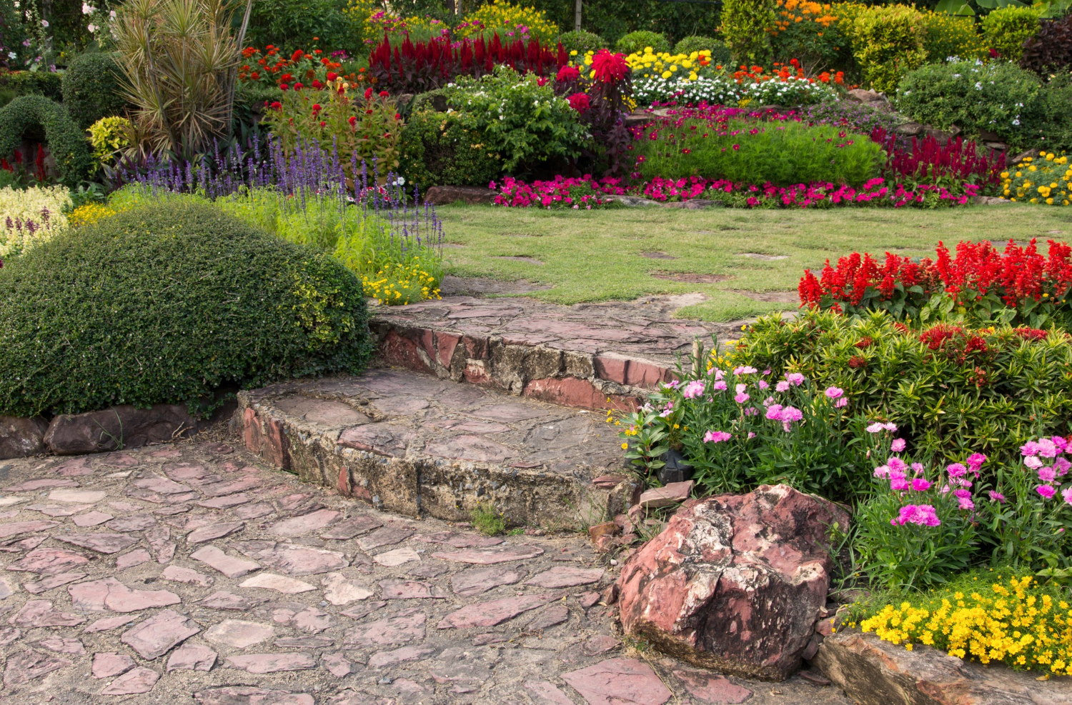 rock garden